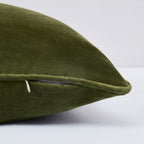 Terran Velvet Decorative Pillow Cover
