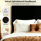 Velvet Dream Bed with Enclosed Wood Base