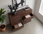 Tokyo Modern 8-Drawer Double Dresser with Chrome Handles- Cappuccino