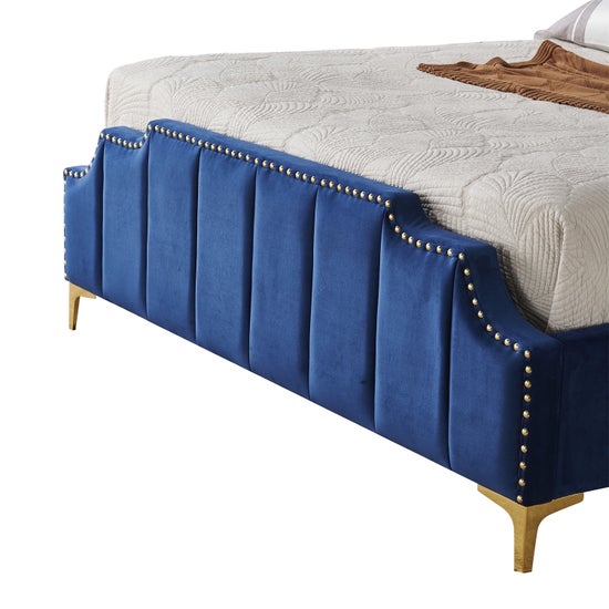 Regal Velvet Royal Blue and Gold Trim-9906