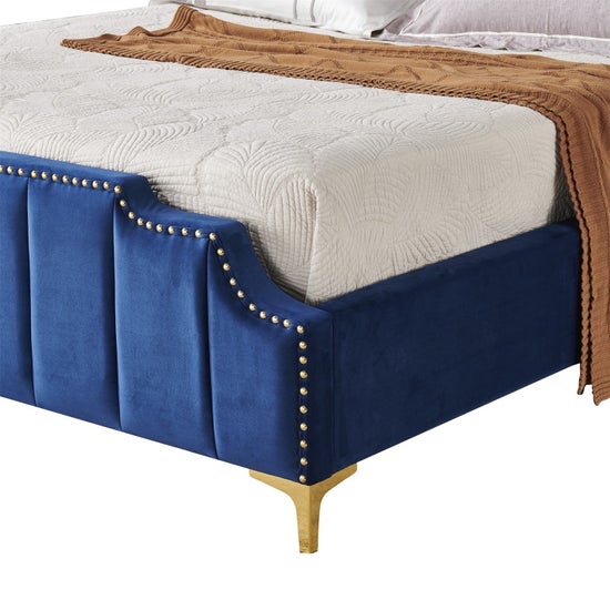 Regal Velvet Royal Blue and Gold Trim-9906
