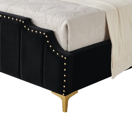 Regal Velvet Black and Gold Trim-9906