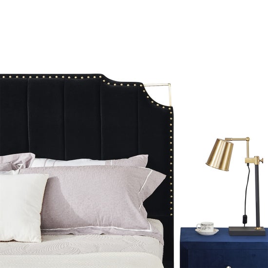 Regal Velvet Black and Gold Trim-9906