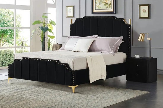Regal Velvet Black and Gold Trim-9906