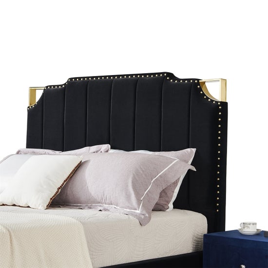 Regal Velvet Black and Gold Trim-9906