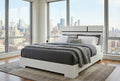 Metro Platform Bed- White Matte with Black Matte Accent