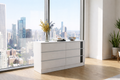 Metro 6-Drawer Dresser- White Matte with Black Matte Accent