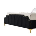 Regal Velvet Black and Gold Trim-9906