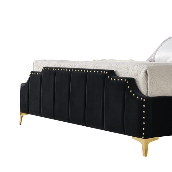 Regal Velvet Black and Gold Trim-9906